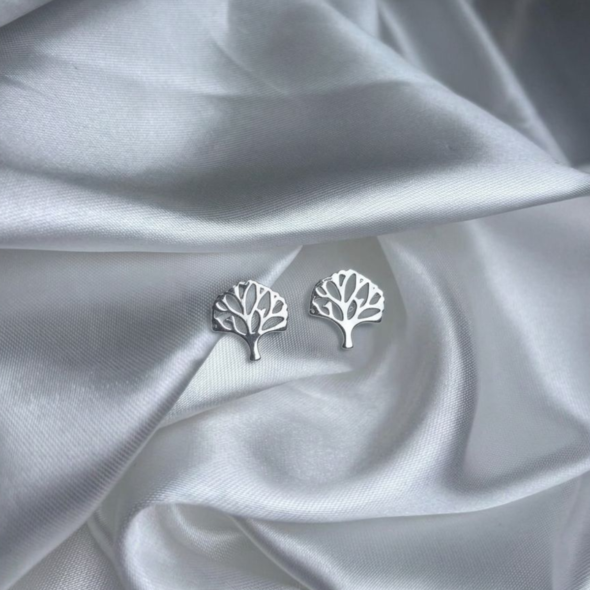 TOPO PLATA CIRCONES TAILANDES