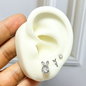 SET DE TOPOS CONEJO PLATEADO