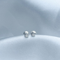 TOPO PLATA SEGURIDAD CORONA REINITA