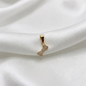 DIJE HUESO MICROCIRCON ORO LAMINADO 18K