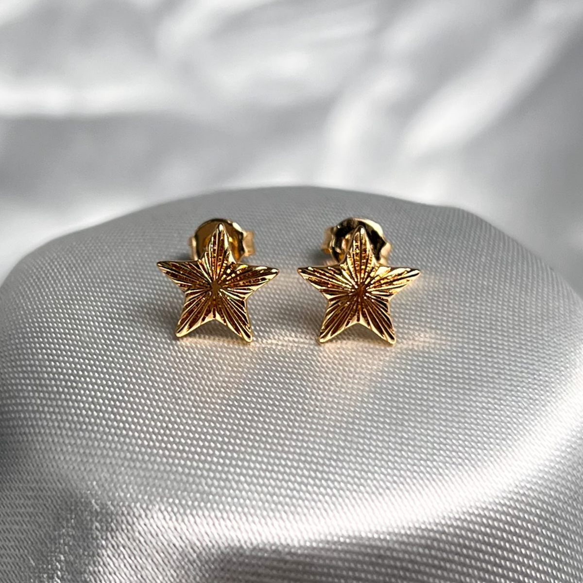 TOPO ESTRELLA RODIO