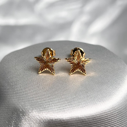 TOPO ESTRELLA RODIO