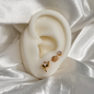 SET DE TOPOS ZORRITO FLOR RODIO